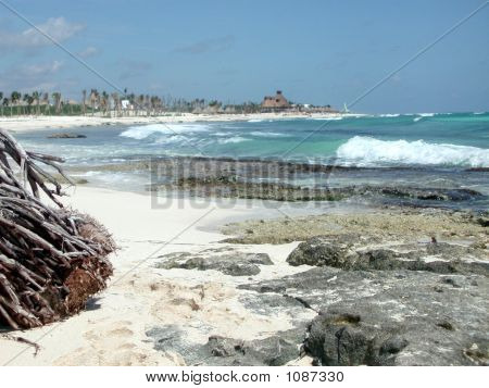Тропический Beachscape