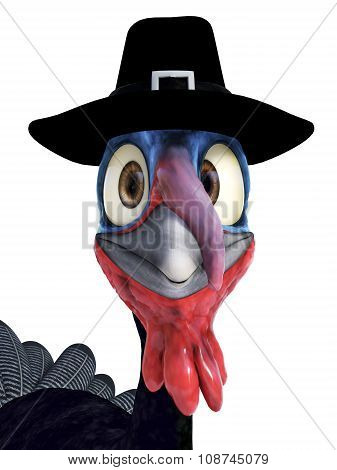 Silly Toon Turkey Wearing Pilgrim Hat.