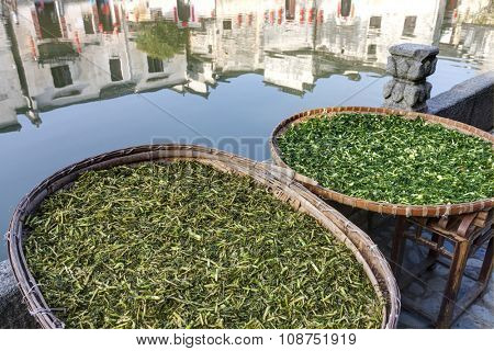 Vegetables drying at Hongcun, Ancient village in south China.