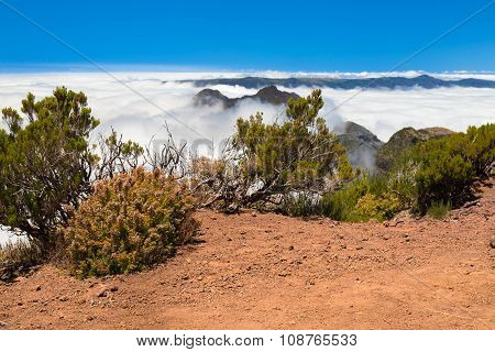 Low Bushes And Poor Vegetation Among The Reddish Soil Of The Mountains Of Madeira And Stones Highly