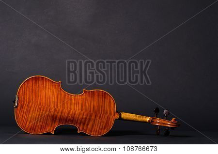 violin on black background