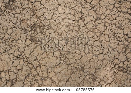 Dry Land. Cracked Ground Background.
