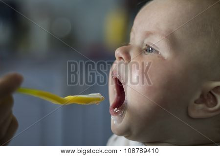 Baby Spoon-feeding