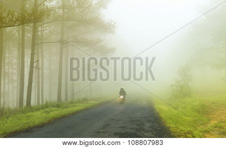 Mist unfurl on the way