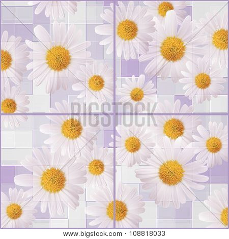 Beautiful background of Chamomiles