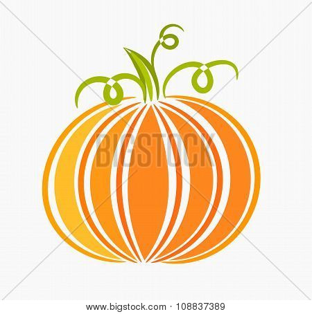 Pumpkin Illustration