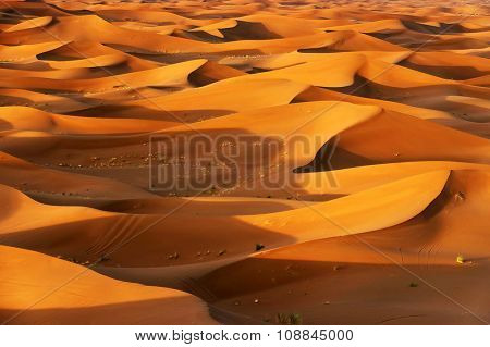 Sunrise light in Sahara Desert, Africa