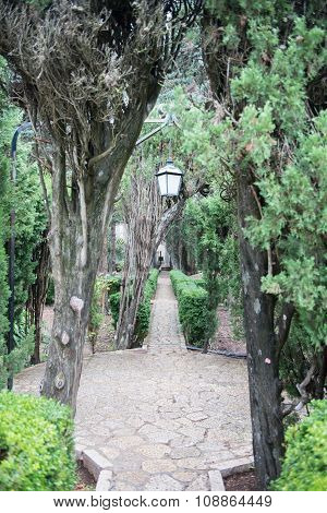View Into The Garden Of The Chopin Museum In Valdemossa, Spain, Mallorca