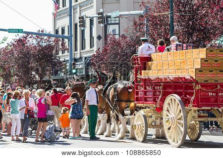Budweiser Clydesdales In Coeur D' Alene, Idaho