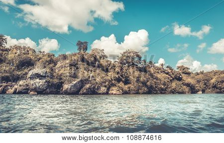 Wild Seashore