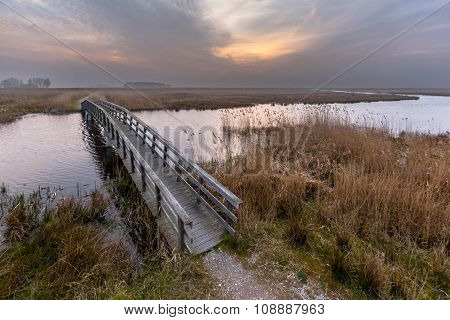 Wooden Swamp Bridge