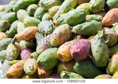 Bastardoni Fruits For Sale