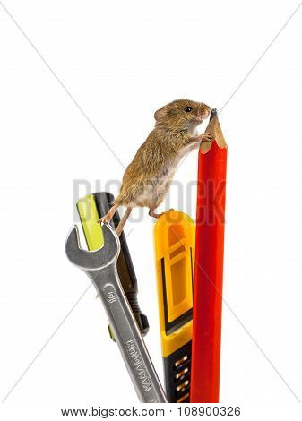 Tools Mouse Image & Photo (Free Trial) | Bigstock