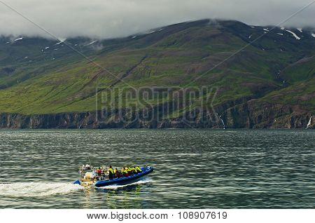 HUSAVIK, ICELAND - SEPTEMBER 1, 2015: Whale watching tour from fast zodiac boat near Husavik