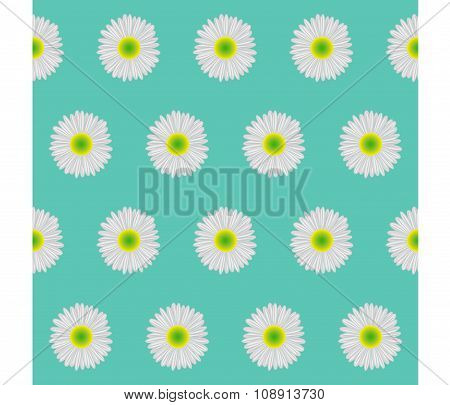 Seamless background. Chamomile.