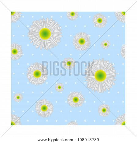 Seamless background. Chamomile.