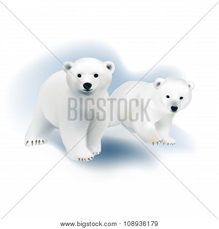 Polar bear cubs.