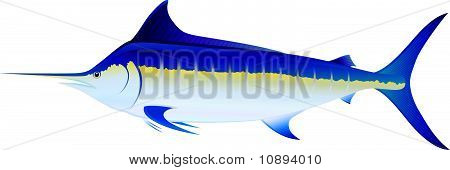 Marlin blu