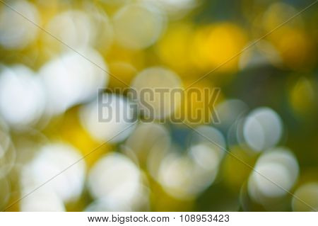 Sunlight Out Of Focus
