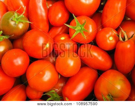 bright red tomatoes