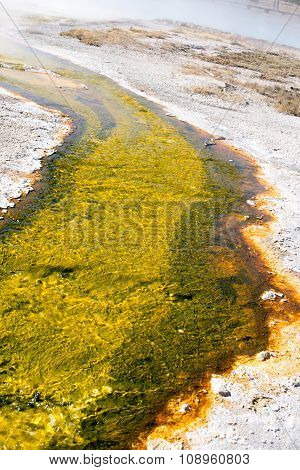 Biscuit Basin In Yellowstone