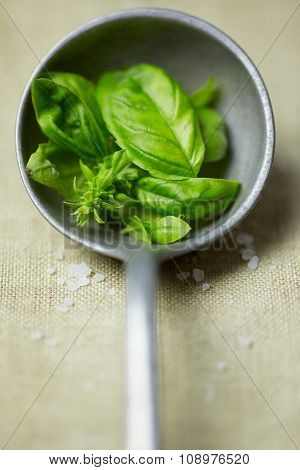basil