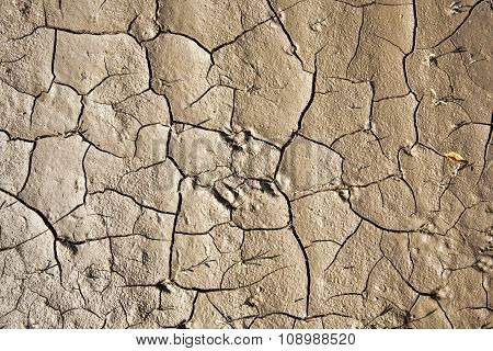 Cracked Earth Background