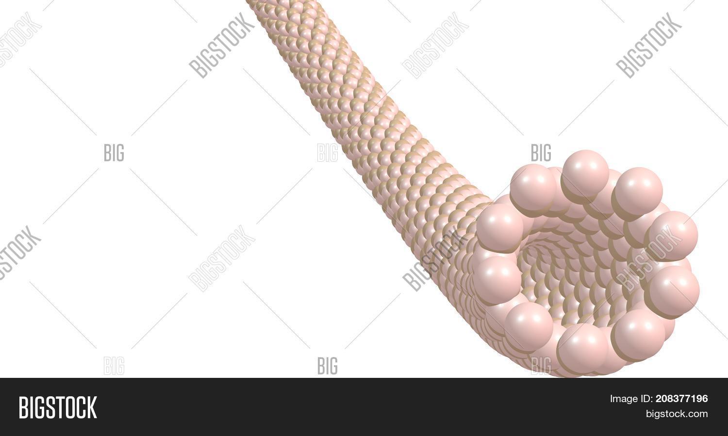 Boron Nitride Nanotube Image & Photo (Free Trial) Bigstock