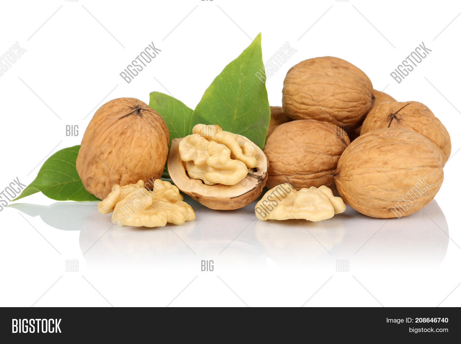 Walnuts Walnut Nuts Image & Photo (Free Trial) Bigstock