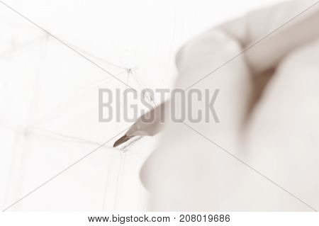 A female hand draws a sketch with a pencil. Toned. Selected focus.