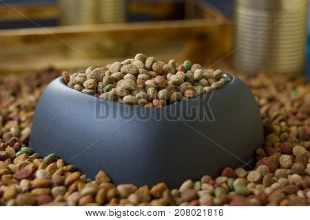 Heart pet bowl filled by dry pet food