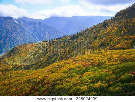 Mountain Scenery At Autumn In Japan