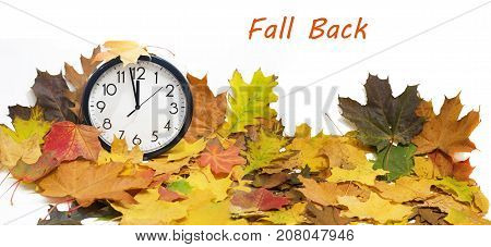 Isolated Electronic Wall Clock. Autumn Abstraction.