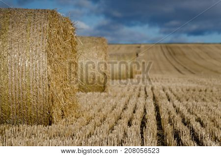 Sun rising on autum haybail in Angus Scotland