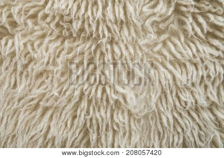 New thick wool carpet with long fibers closeup