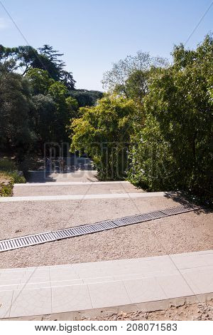 The Nikitsky Botanical Garden In Yalta