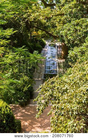 The Nikitsky Botanical Garden In Yalta