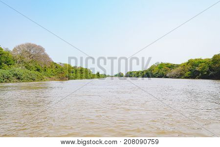 Pantanal Landscape With The River And Green Vegetation On The River Banks