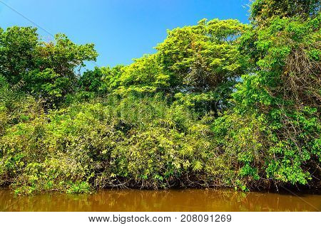 Landscape With The River And Green Vegetation Of Trees And Plants On The River Banks