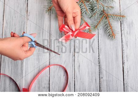 Hands with scissors. Red ribbon. Close-up. Next to it is a branch of spruce.