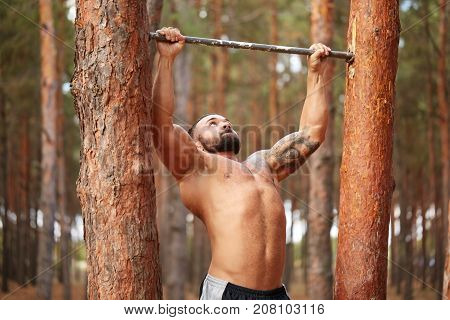 A young strong athlete with a naked torso pulling up in the forest. Close-up.
