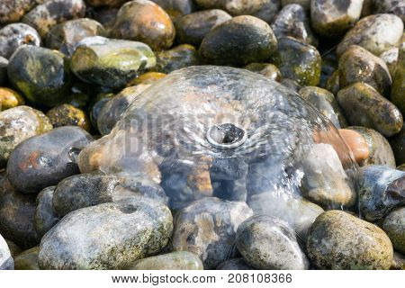 Rocks under a small water fountain, peaceful background.