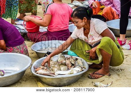 Dawei Myanmar - July 12 2015: Fresh market where sellers and buyers meet to sell and buy fresh and raw food in Dawei Myanmar