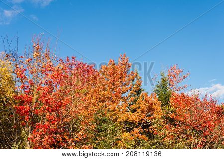 Fall colours in the Eastern Townships in Quebec Canada.