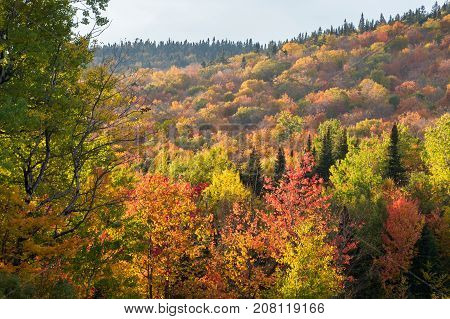 Fall colours in the Eastern Townships in Quebec Canada.
