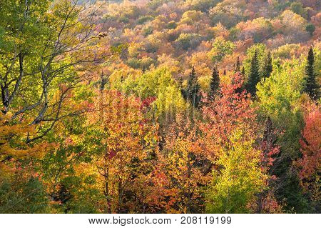 Fall colours in the Eastern Townships in Quebec Canada.