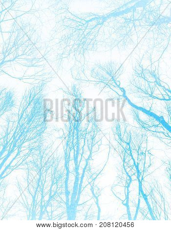 Creative unusual abstract pattern / Nature theme
