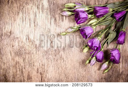 Violet flowers of eustoma on an old wooden background. Copy space. Wooden background
