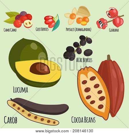 Vegetarian superfood healthy vegetable eco food fresh organic traditional gourmet nutrition vector illustration. Eating restaurant appetizer delicious snack.