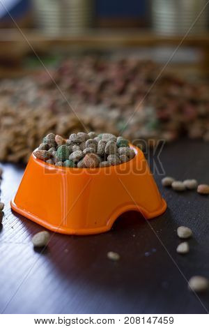 Plastic bowl with dry pet food on black wooden board